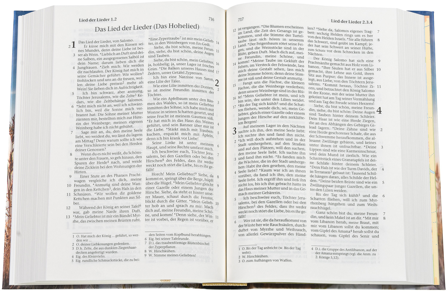 Elberfelder Bibel – Taschenausgabe (Hardcover, Motiv Maritim)