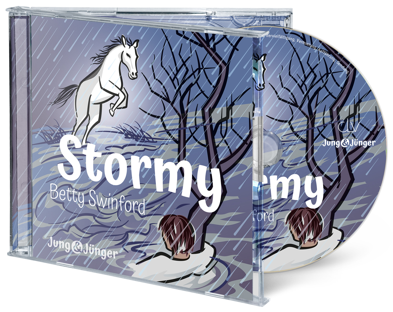 Stormy (Hörbuch [MP3])