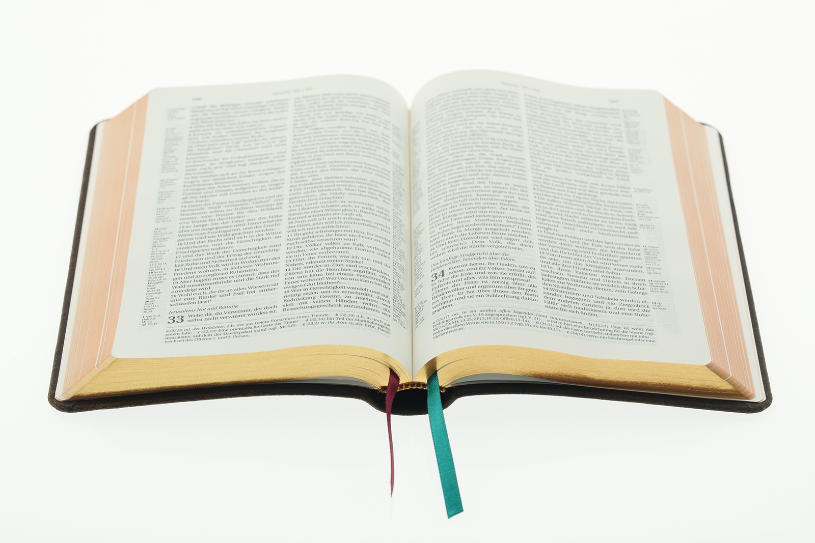 Schlachter 2000 Bibel - Taschenausgabe (Softcover, Rindsleder, Rotgoldschnitt)