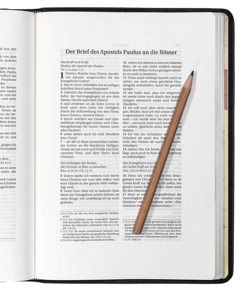 Schlachter 2000 Bibel – Schreibrandausgabe (Softcover, schwarz)