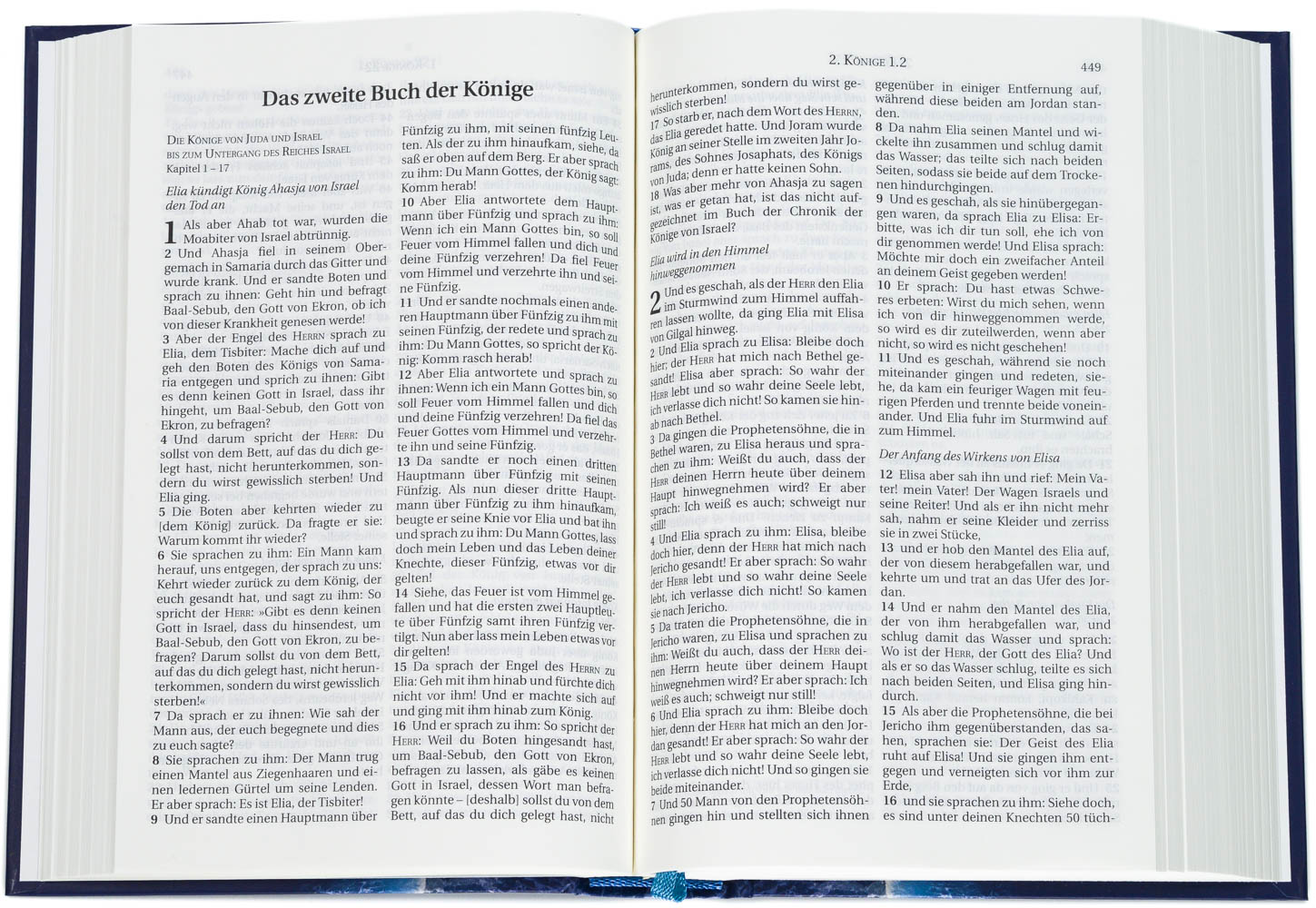Schlachter 2000 Bibel – Taschenausgabe (Hardcover, illustrierter Einband)