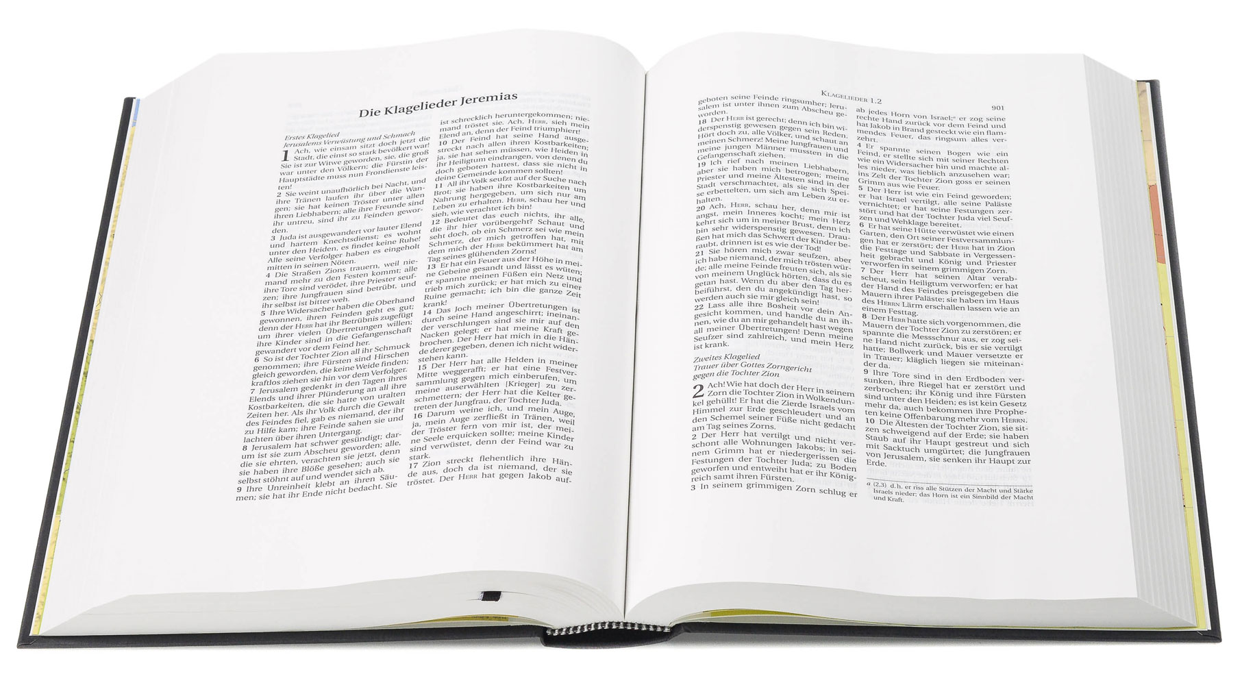 Schlachter 2000 Bibel – Schreibrandausgabe (Hardcover, schwarz)