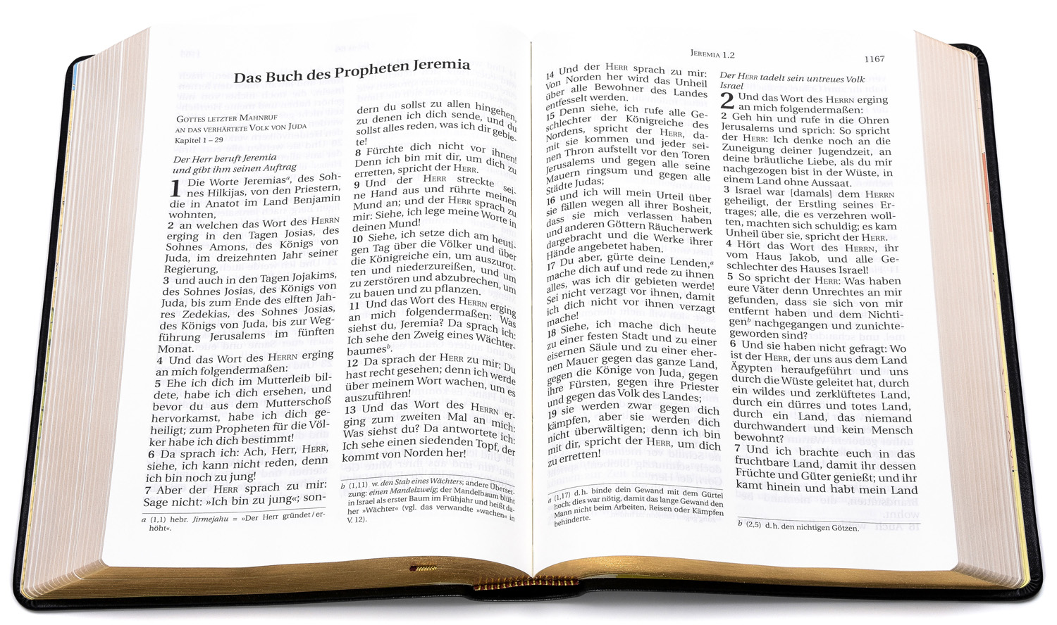 Schlachter 2000 Bibel - Großdruckausgabe (Softcover, schwarz, Goldschnitt)