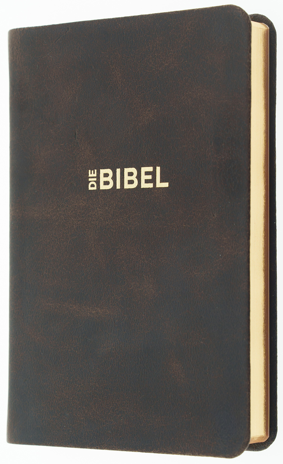 Schlachter 2000 Bibel - Taschenausgabe (Softcover, schwarz, Rotgoldschnitt)