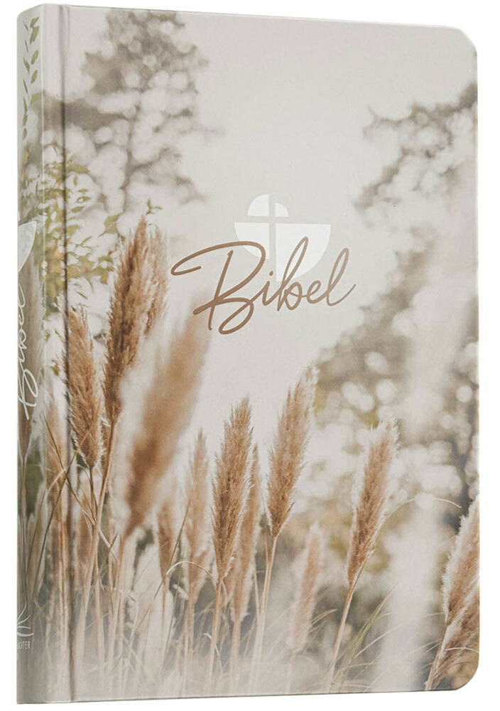 Schlachter 2000 Bibel - Taschenausgabe (Hardcover, farbiger Einband »Pampasgras«)