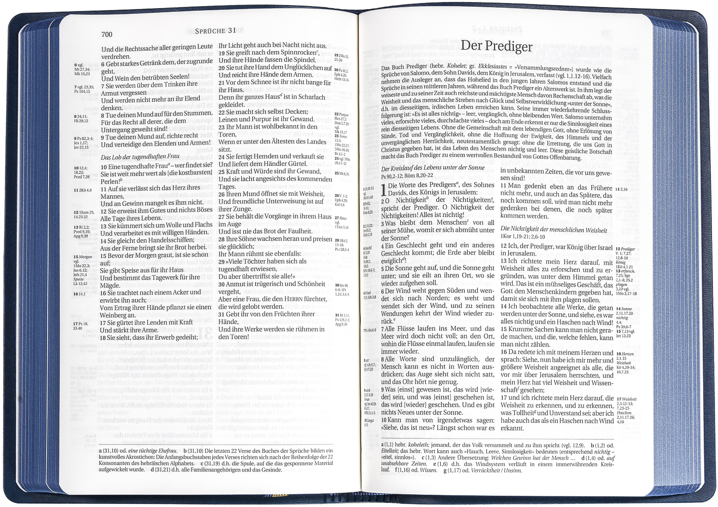 Schlachter 2000 Bibel - Taschenausgabe (PU-Einband, sandfarben, blauer Farbschnitt)