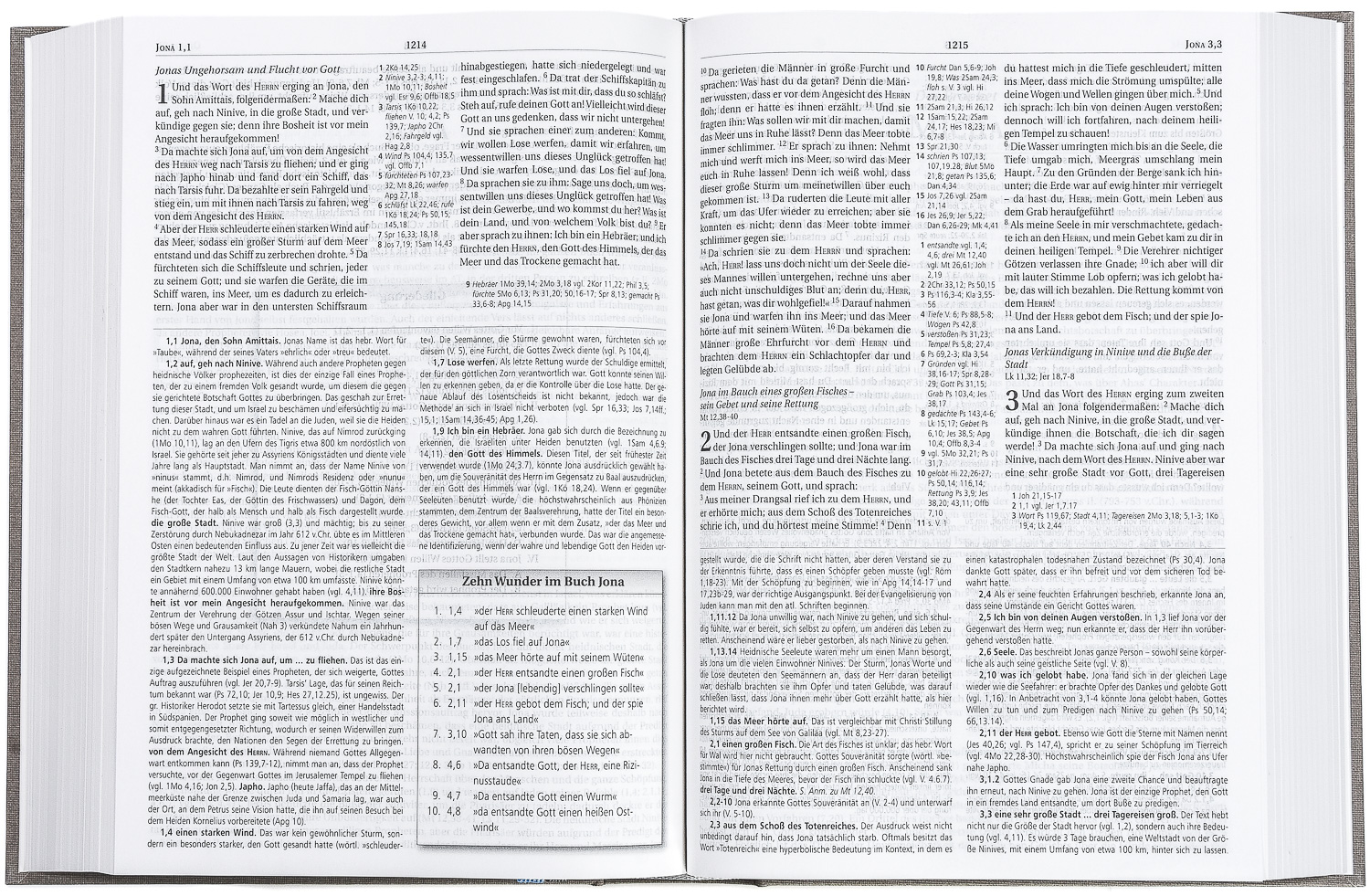 MacArthur Studienbibel – Schlachter 2000 (Hardcover, grau)