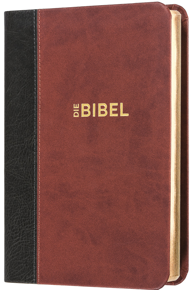 Schlachter 2000 Bibel - Taschenausgabe (Softcover, grau/braun, Goldschnitt)